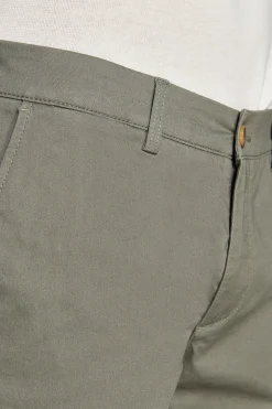 Bermuda chino basic in cotone verde
