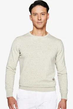 Maglia girocollo basic in cotone grigia